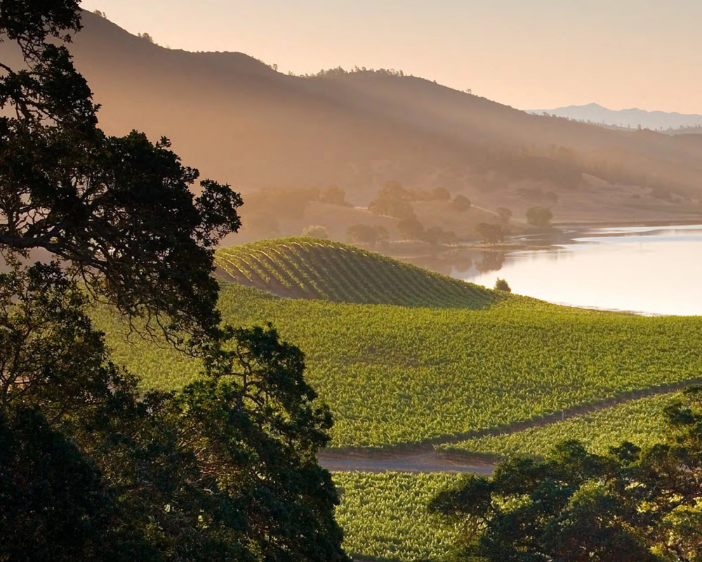 Six Senses Napa scenic landscape